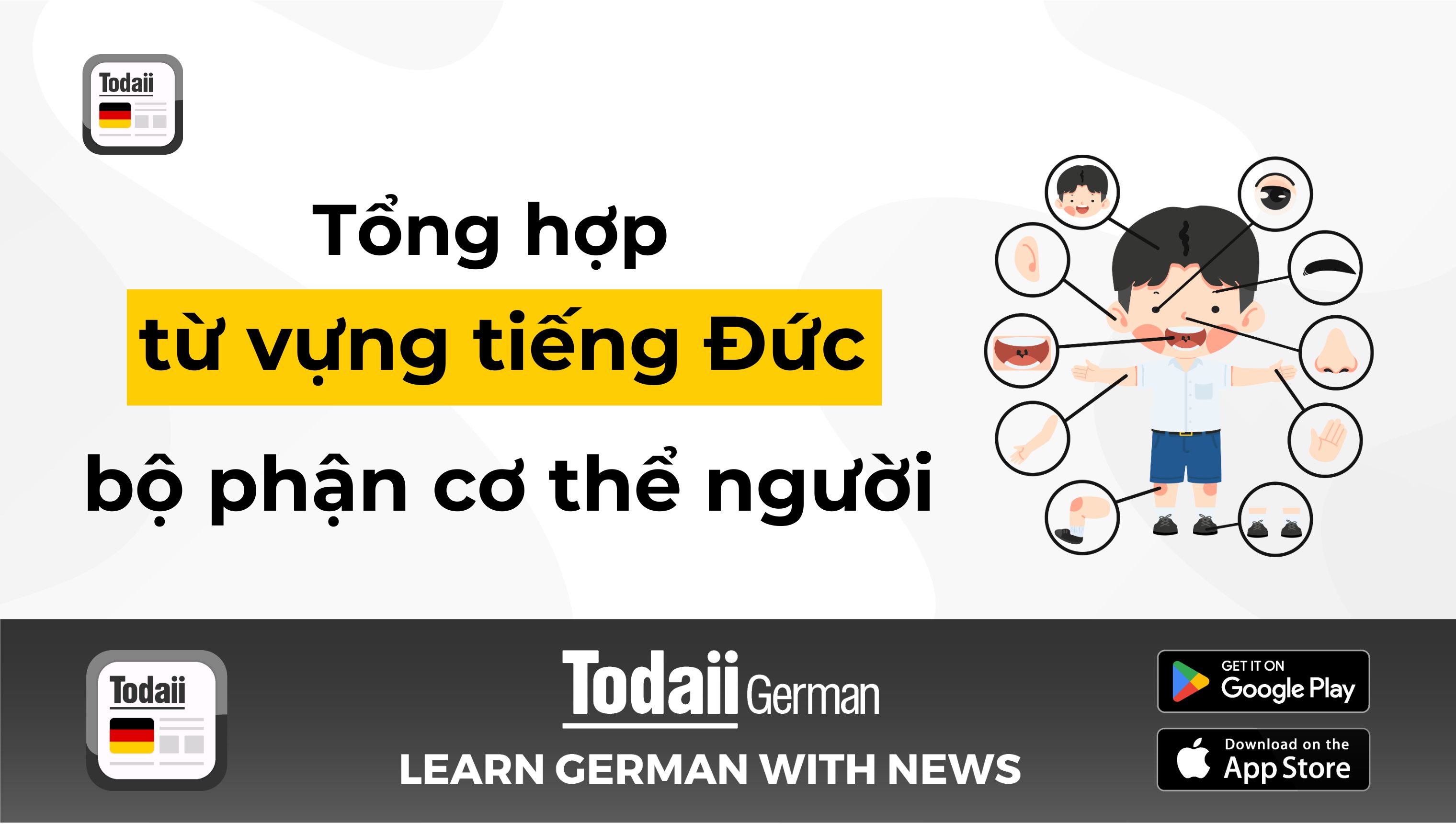 Tổng hợp từ vựng cơ thể người tiếng Đức PDF miễn phí